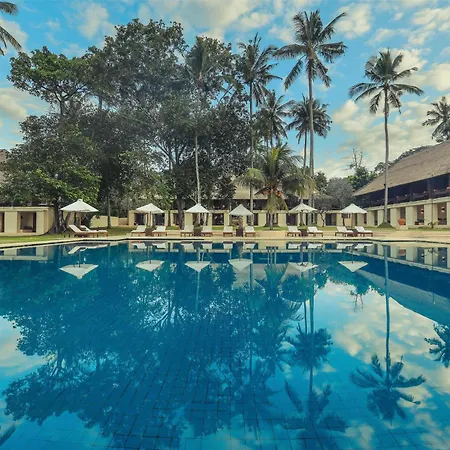 Alila Manggis-2